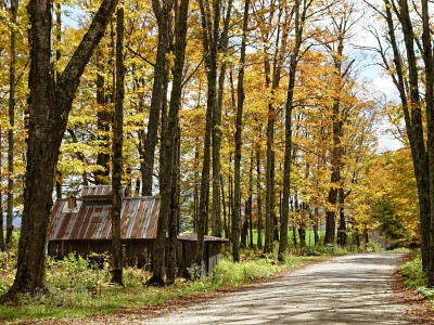 vermont copy